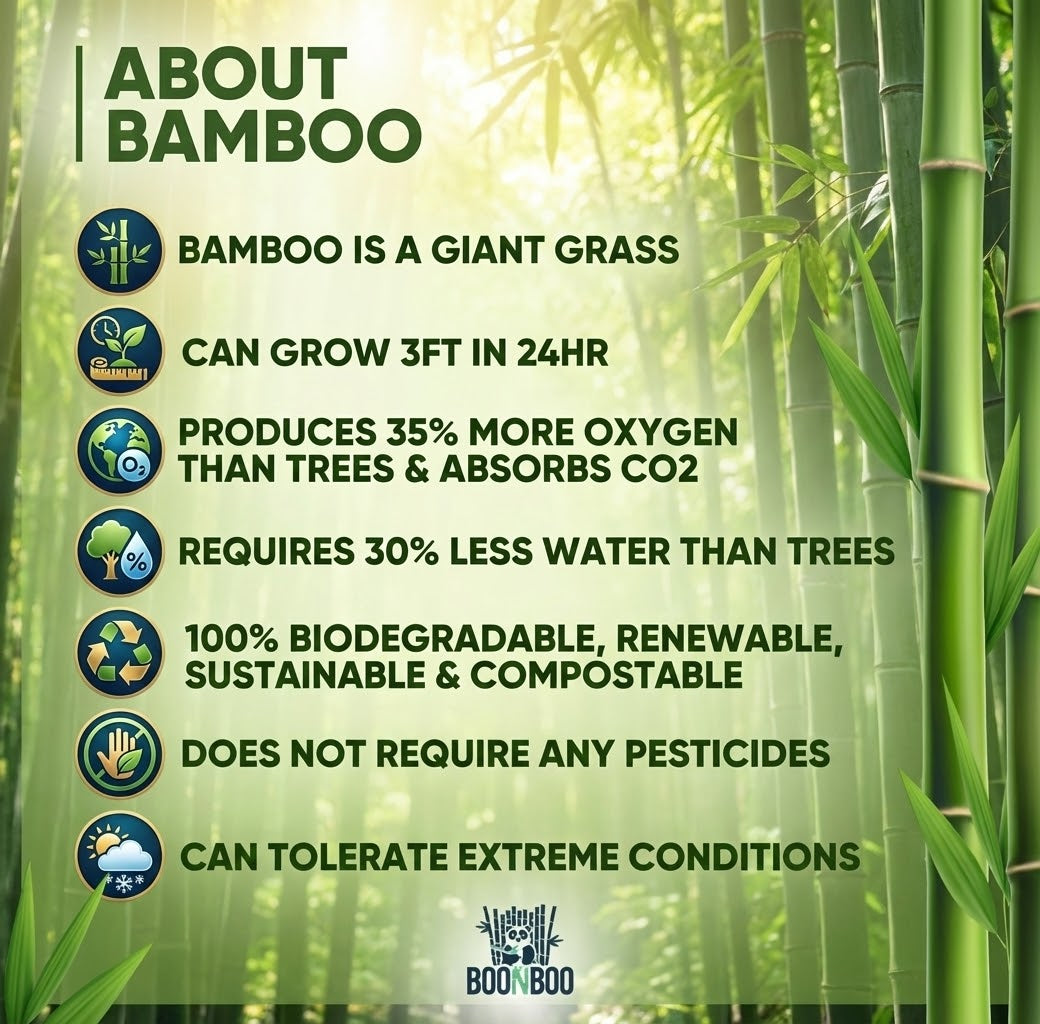 Bamboo Dental Floss Picks