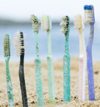 Bamboo Toothbrushes vs. Plastic Toothbrushes: Which Toothbrush is Better?
