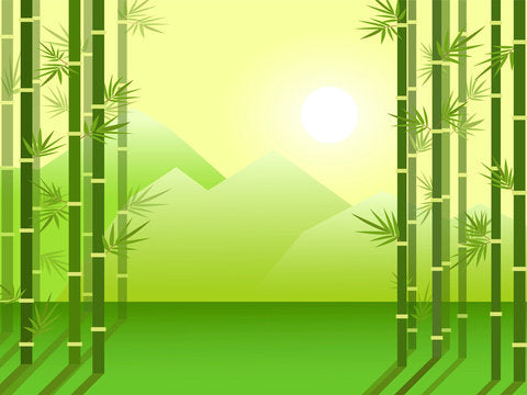 Is Bamboo Packaging a Sustainable Alternative to Plastic?