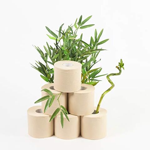 Is Bamboo Toilet Paper Better Than Regular Toilet Paper?