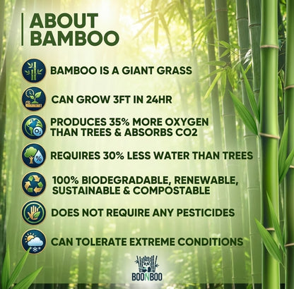 Bamboo Paper Drinking Straws